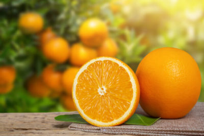 portakal narenciye